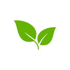 Simple green leaf logo design isolated