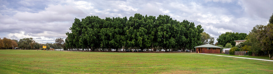 Tranquil Lake Monger Park Panoramic Scene with Greenery, Trees, and Cloudy Sky, Perth, Australia, 24 April 2020