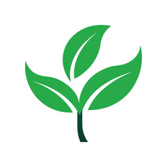 Three Green Leaves Logo