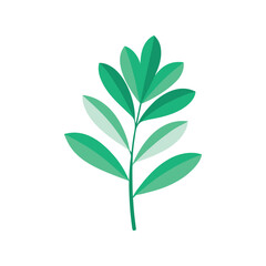 Stylized green leaf on a stem