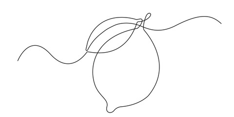 continuous line drawing of lemon fruit. Fresh fruit with vitamin content, for diet and health.