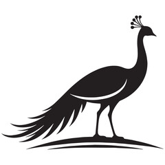 Peacock silhouette with majestic tail spread – Peacock illustration – Minimalist Peacock vector – Bird silhouette – Bird vector

