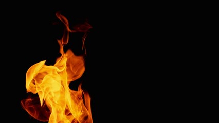 Fototapeta premium Burning realistic fire flames on black background