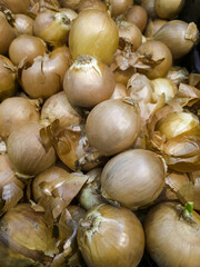 Onions in a market
