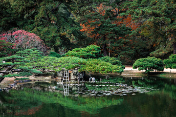 Obraz premium Scenic Autumn Foliage in Ritsurin Garden, Takamatsu, Japan