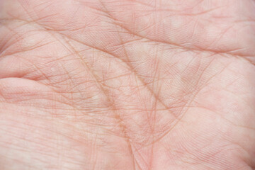 Fototapeta premium Macro human palm texture,Macro human palm print,palm pattern macro shot . fingerprinting concept,