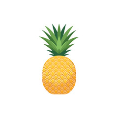 Tropical Pineapple Illustration with Green Leaves on White Background.