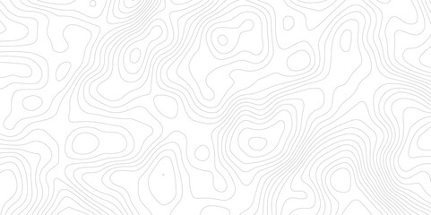 Abstract topography pattern lines sea map area space geometric strip grid line topo map technology modern design white background.	