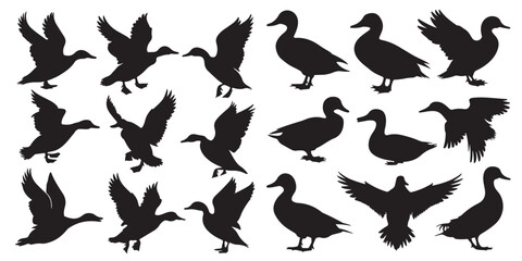 Silhouettes of Ducks Swimming on Water, Duck Silhouettes in Various Poses, Cute Cartoon Ducks Illustration Set Black and White