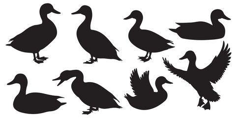 Silhouettes of Ducks Swimming on Water, Duck Silhouettes in Various Poses, Cute Cartoon Ducks Illustration Set Black and White
