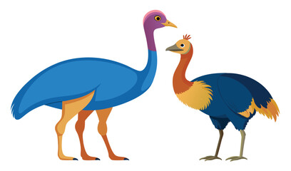 Fototapeta premium Two Illustration Birds Blue Cassowary with Purple Neck and Orange BrushTurkey