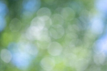 The image is a blurry green background with white circles