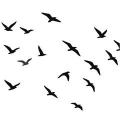 Obraz premium Flying Birds Group Vector Silhouette 