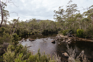 Narcissus River in Tasmania Australia