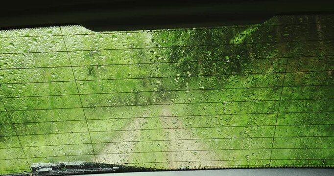 Rain falling on a misty or fogged up  car rear windshield. Green, blurry forest background, defogger grid lines, real time footage, no people
