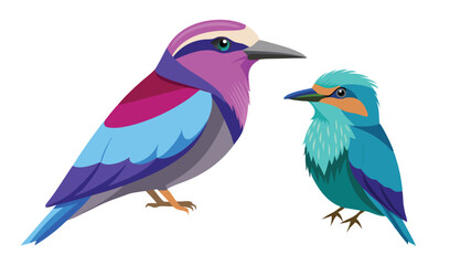 Obraz premium Two Stylized Birds with Colorful Plumage, Illustration on White Background, Wildlife Art