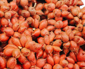 Fruit Salak ready for sale at the market