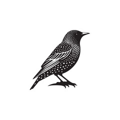 **"Distinctive European Starling Vector Silhouette: Glossy Songbird Design Featuring Speckled Plumage, Sharp Beak, and Perched Pose in Clean, Minimalist Style for Crafts and Digital Art"**
