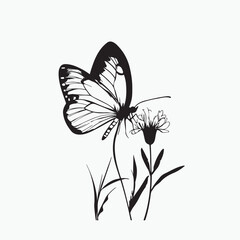 butterfly on a flower