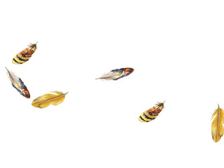 Adobe Illustrator Artwork