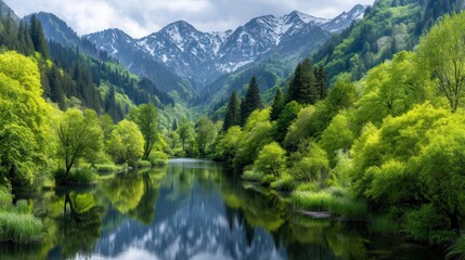 Fototapeta premium Serene mountain valley reflecting in a placid river. Lush greenery and snow-capped peaks create a tranquil landscape
