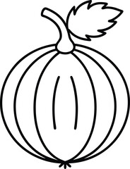 Gooseberry Outline Drawing with Leaf.