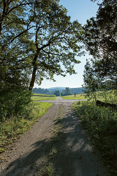 Weg aus dem Wald Richtung Berge am Sternbergblick bei Gomadingen