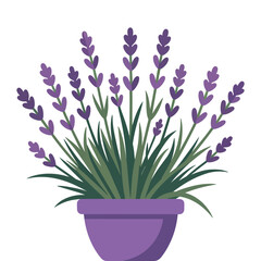 Flat Lavender Flower Vector on White Background.