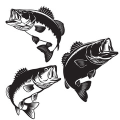 set vector Largemouth Bass Jumping Out of Water Black and White Illustration, Jumping Largemouth Bass Fish Illustration, 