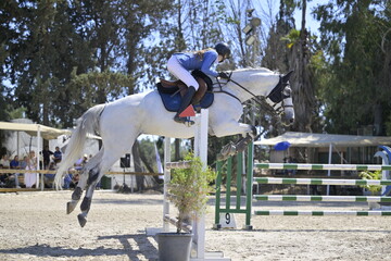 Equestrian Rider and Horse Clearing a Jump in a Showjumping Competition
