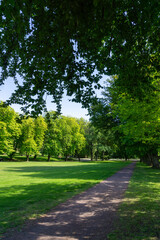 Obraz premium Summer Walking Trail Through Horten Forest in Norway