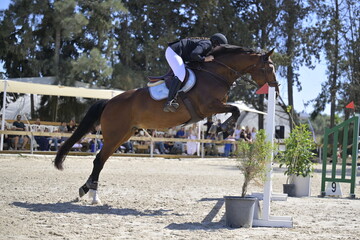 Equestrian Rider and Horse Clearing a Jump in a Showjumping Competition