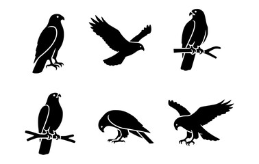 Obraz premium Collection of Black hawk silhouettes in different poses. They are graceful and strong