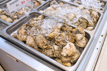 fresh oyster on ice at the seafood market counter.