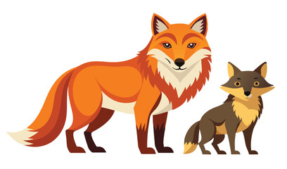 Fototapeta premium Red fox and coyote illustration cartoon animals