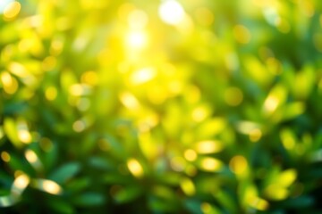 Abstract green blurred nature background with soft bokeh and sunlight. Perfect for eco, wellness, spring, Earth Day, and environmental sustainability-themed creative design projects.