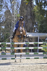 Equestrian Rider and Horse Clearing a Jump in a Showjumping Competition