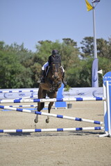 Equestrian Rider and Horse Clearing a Jump in a Showjumping Competition