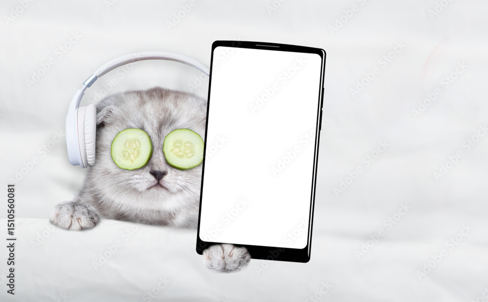 Poster Cute tiny kitten lying on a bed with headphones on it head and with a pieces of cucumber on it eyes and showing big smartphone with white blank screen in it paw. Top down view. Empty space for text