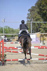 Equestrian Rider and Horse Clearing a Jump in a Showjumping Competition
