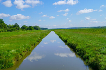 A calm river surrounded by lush greenery under a blue sky with white clouds.
