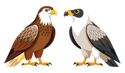Two majestic birds of prey eagle and vulture illustration