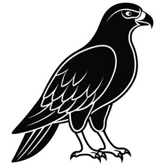 Silhouette hawk on white background