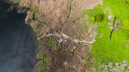 Swamp in Lithuania