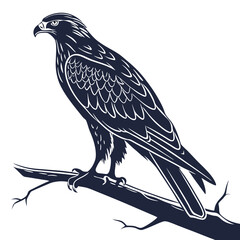 Silhouette hawk on white background