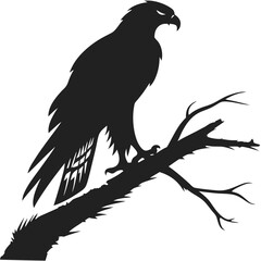 Silhouette hawk on white background