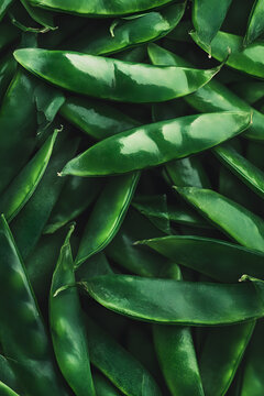Green beans arranged on a natural green background
