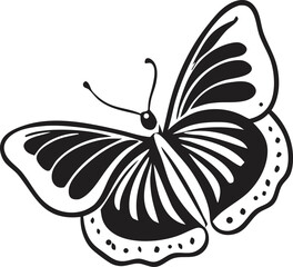 Black and White Butterfly with Detailed Wing Patterns and Elegant Design