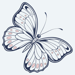 Black and White Butterfly with Detailed Wing Patterns and Elegant Design