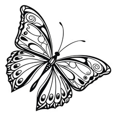 Elegant Black and White Butterfly with Decorative Wings Design